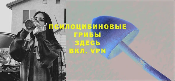 дмт Гусь-Хрустальный