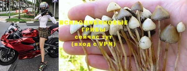 экстази Гусиноозёрск