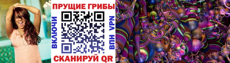 Купить где  Шадринск  Псилоцибиновые грибы Psilocybe 