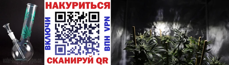 Купить где Шадринск Канабис OG Kush
